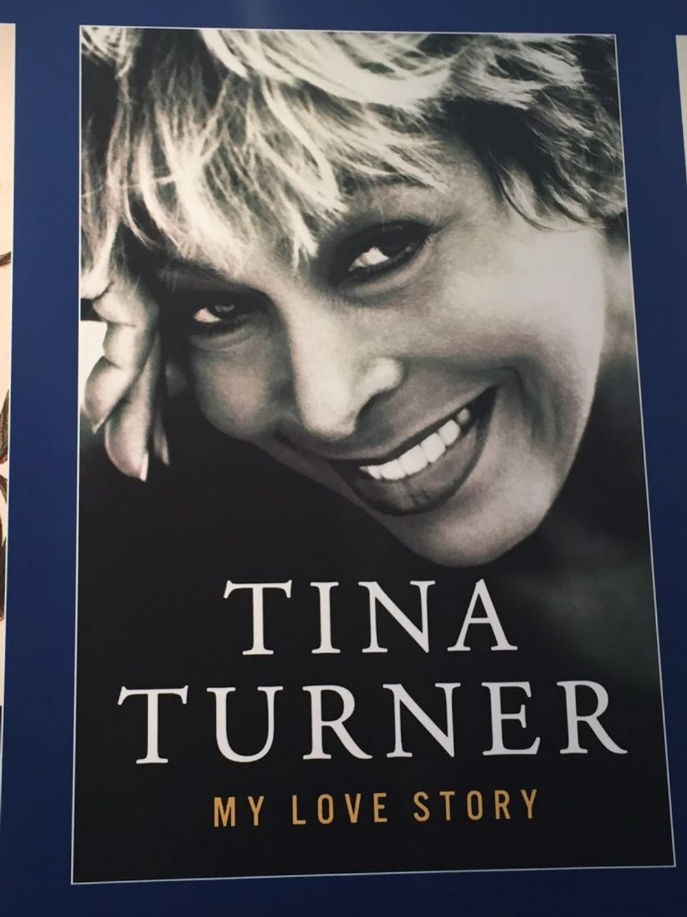 tina turner book
