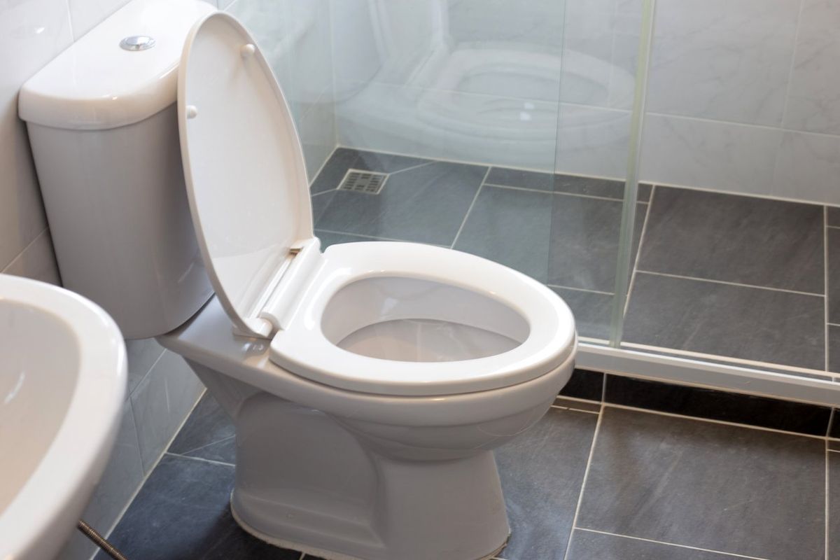toilet bowl