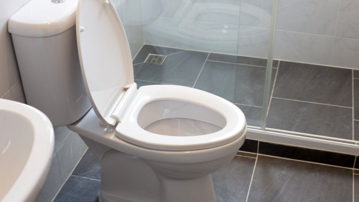 toilet bowl
