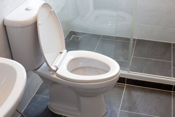 toilet bowl