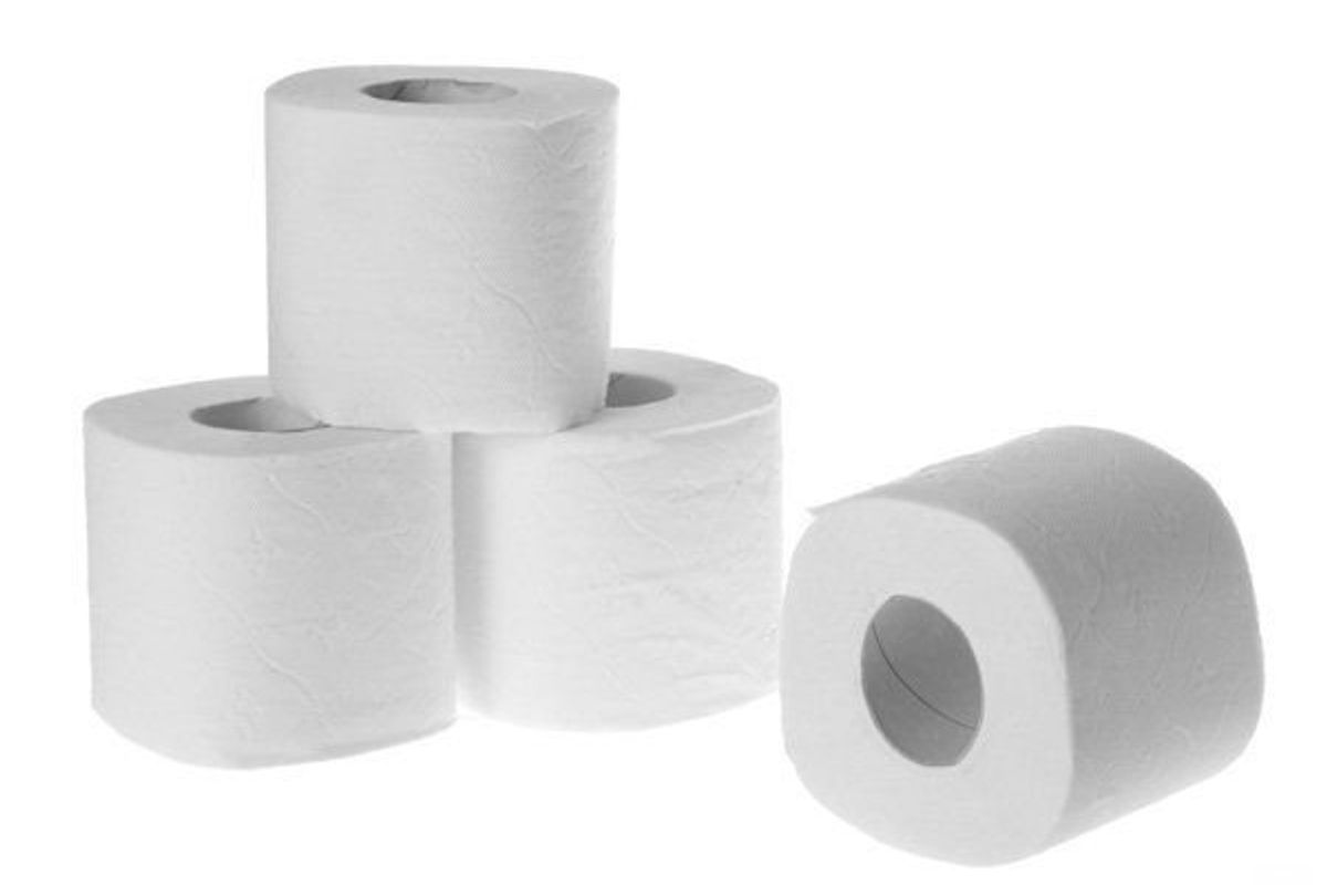 toilet paper rolls