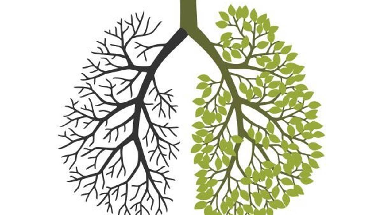 Join the Fight: Stand Up to Lung Cancer