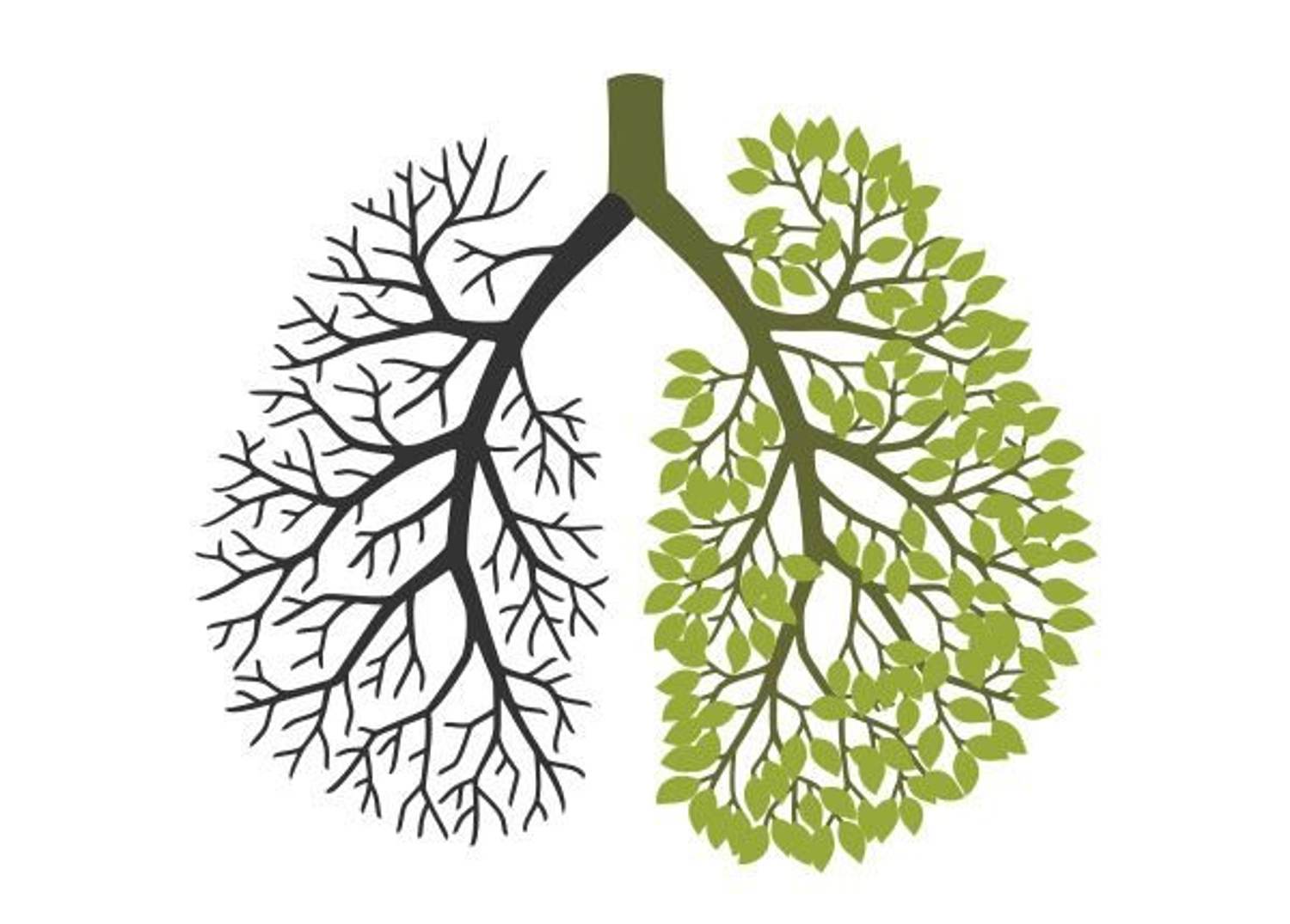 Join the Fight: Stand Up to Lung Cancer