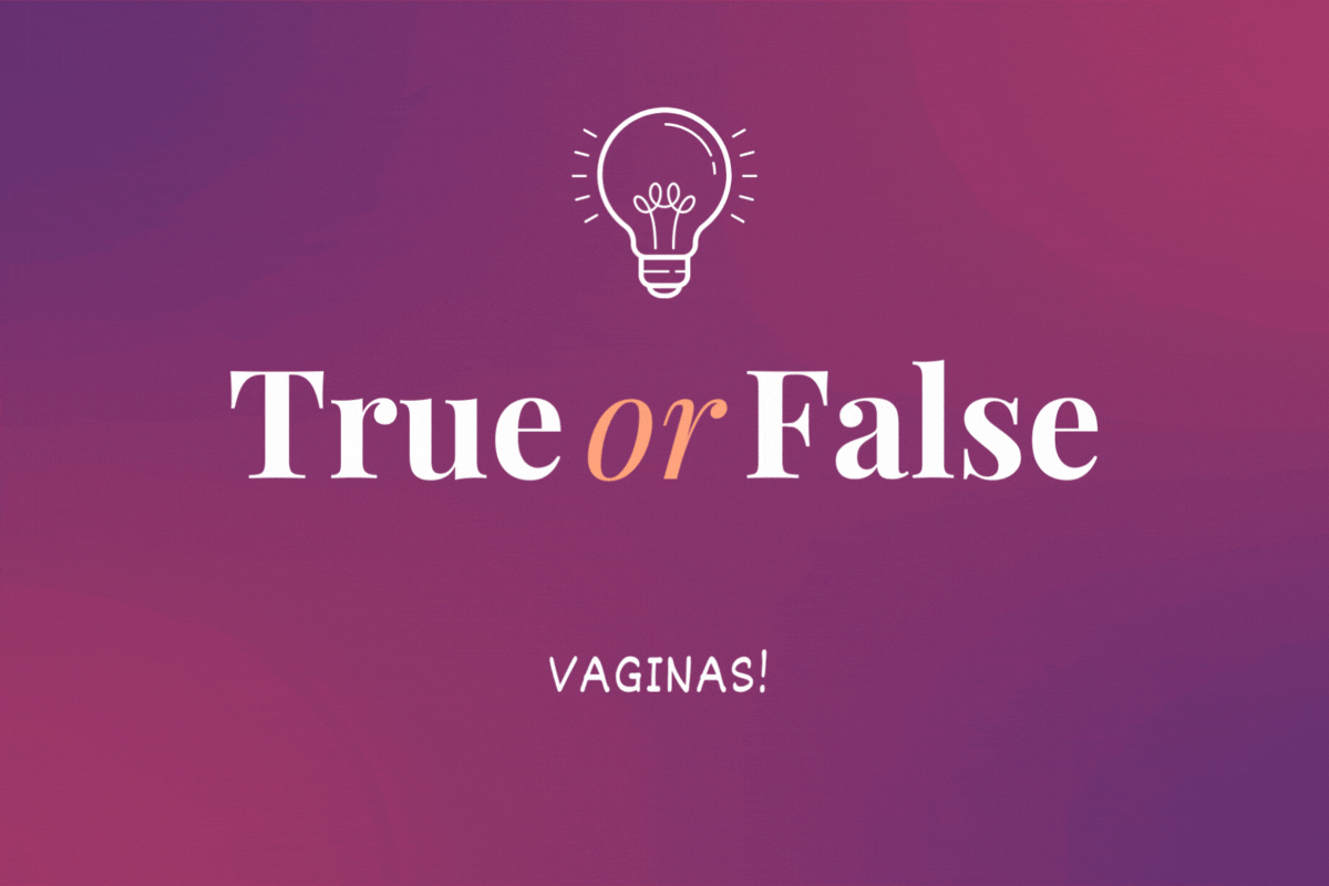 true or false quiz