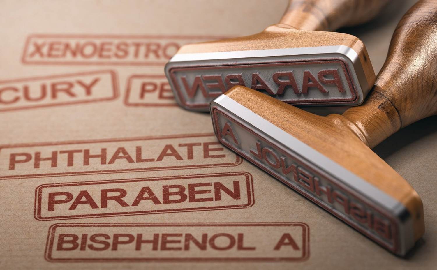 What Are Endocrine Disruptors?