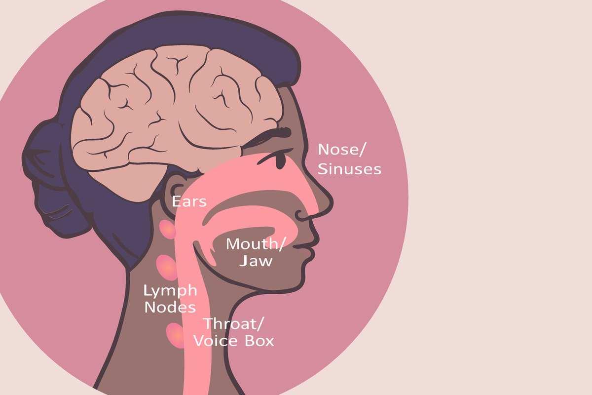 Ubicaciones del cáncer de cabeza y cuello