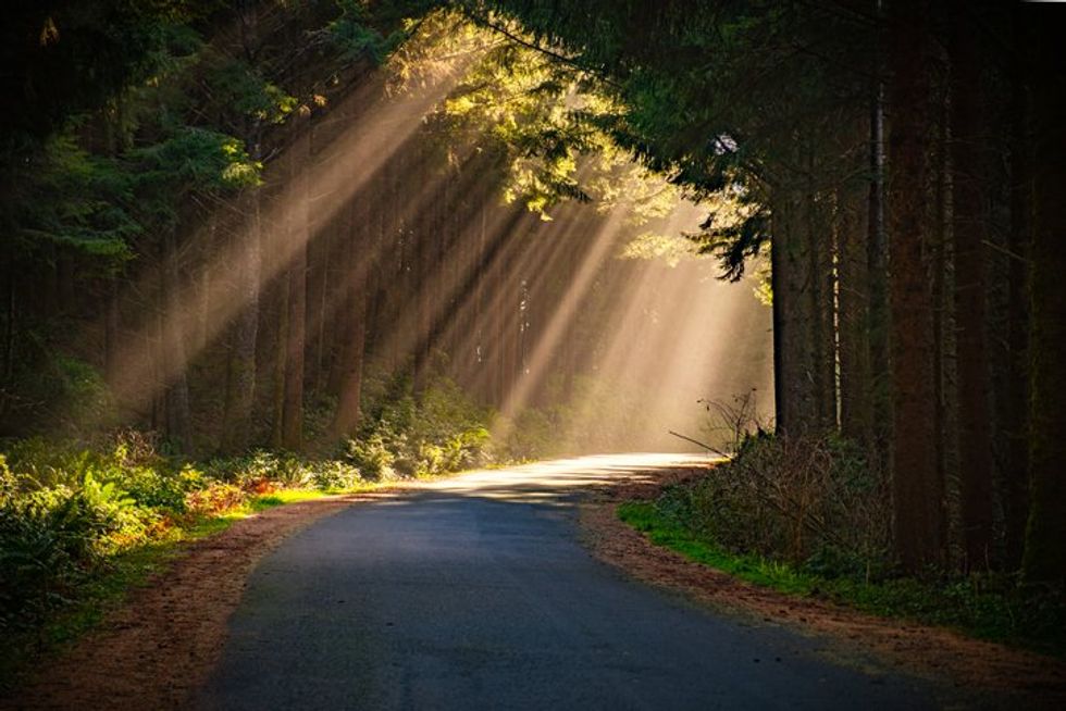 unbeams on a Small Rural Road