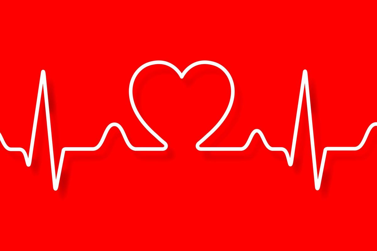 Vector electrocardiogram and heart pattern