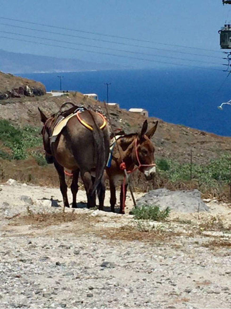 We should have rented a donkey!