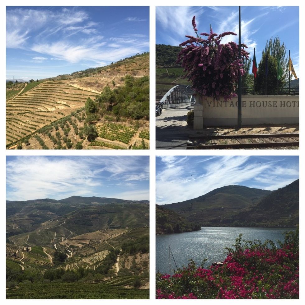 We were wowed by the views of the Douro wine country.