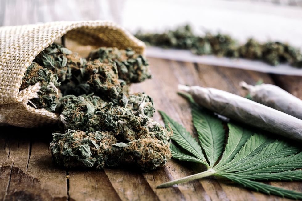 Weed Words: 20 Words to Expand Your Cannabis Vocabulary