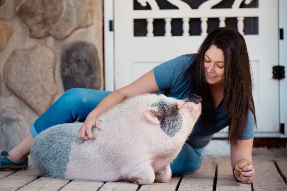 What’s the Deal With Emotional-Support Animals