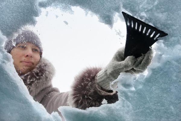 Will Going Out in the Cold Give You a Cold?