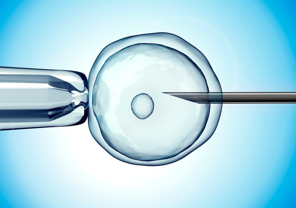 With IVF, Are Fresh or Frozen Embryos Better?