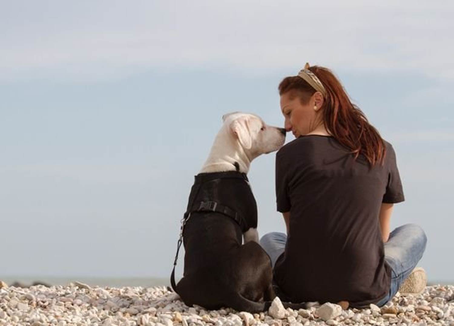 5 Ways Your Dog Can Keep You Healthy