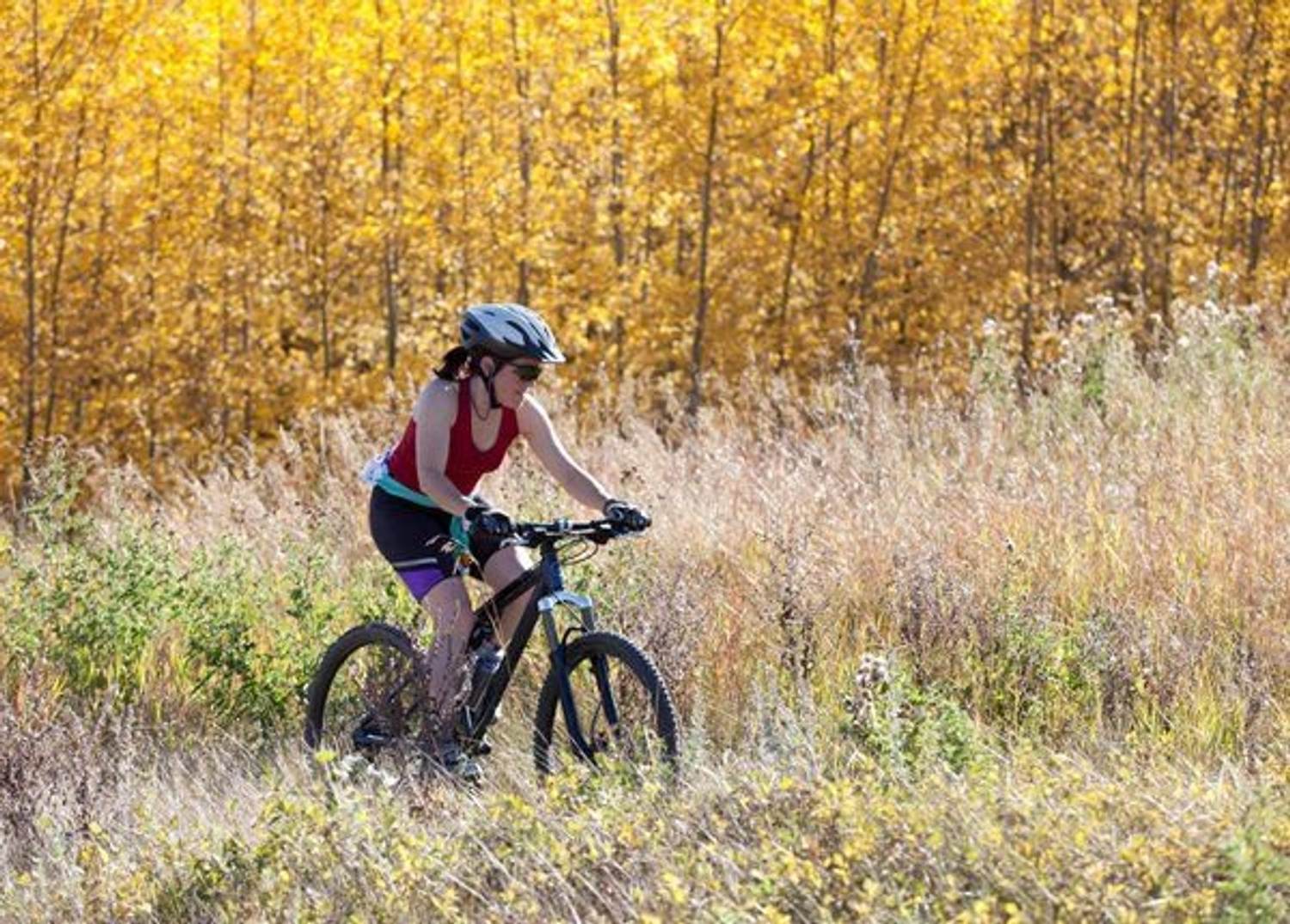 It's OK to Take a Break From Your Workout