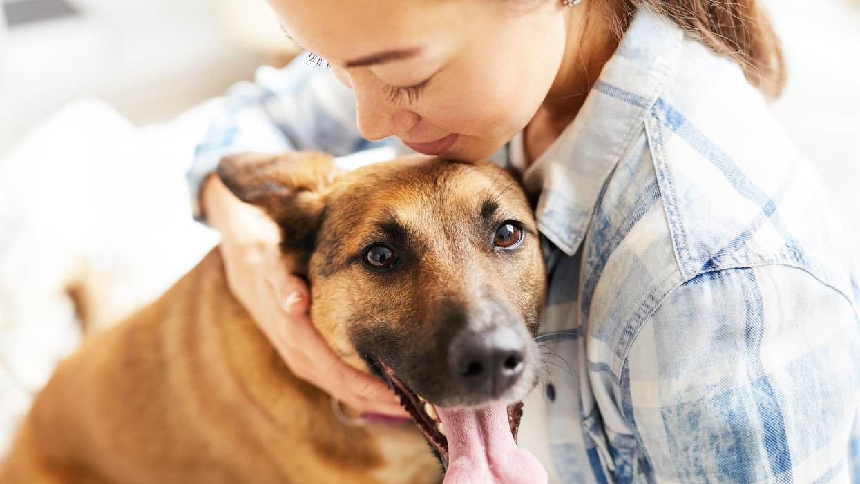 Therapy Dogs Help Students Cope With the Stress of College Life