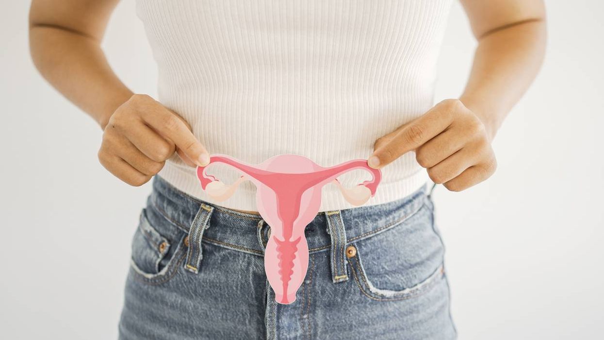 Woman hands holding uterus