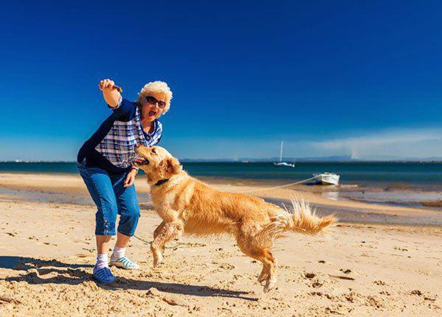 70Candles! Authors Share Advice on Positive Aging
