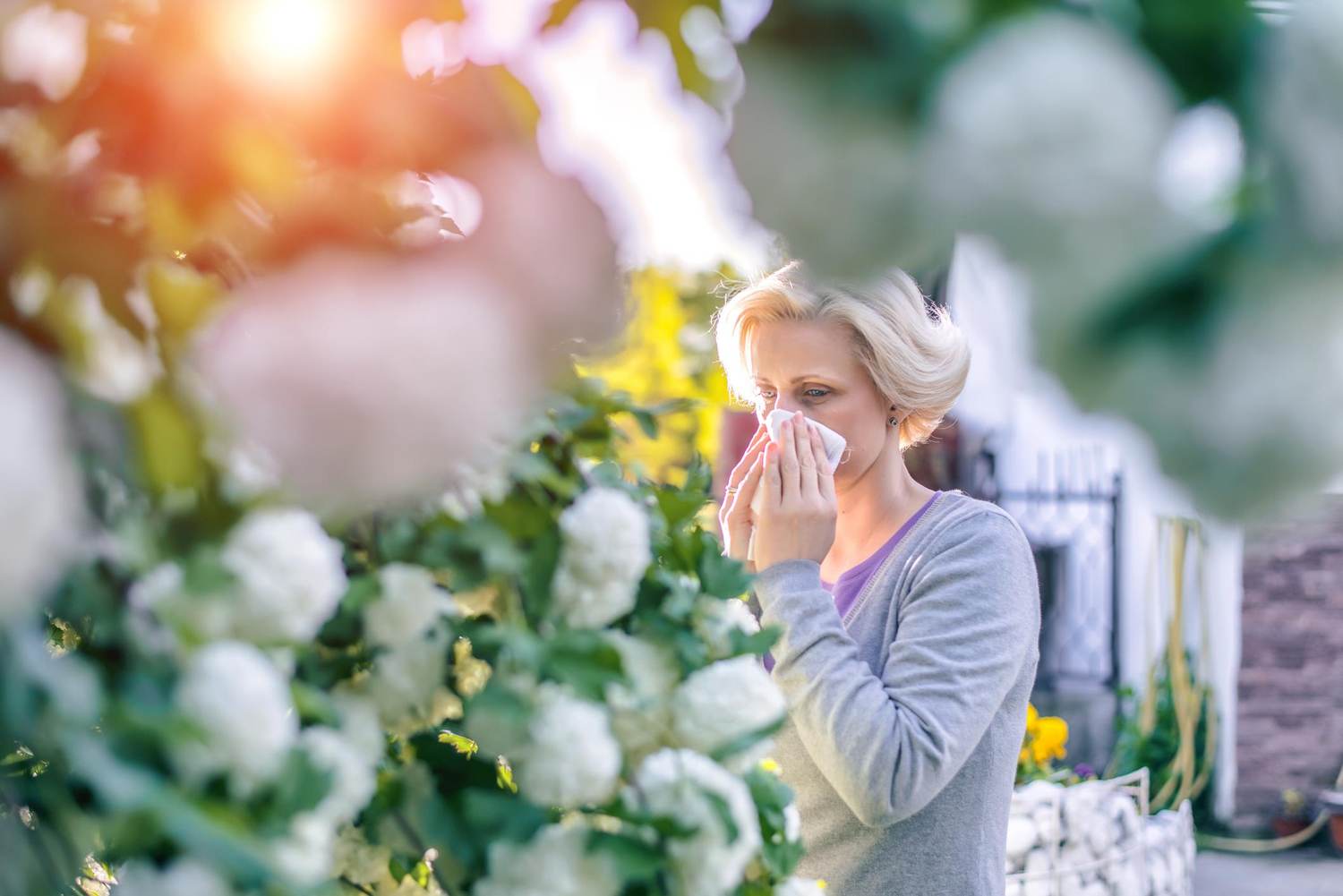 Pollen Season Is Getting Longer and More Intense With Climate Change – Here’s What Allergy Sufferers Can Expect in the Future