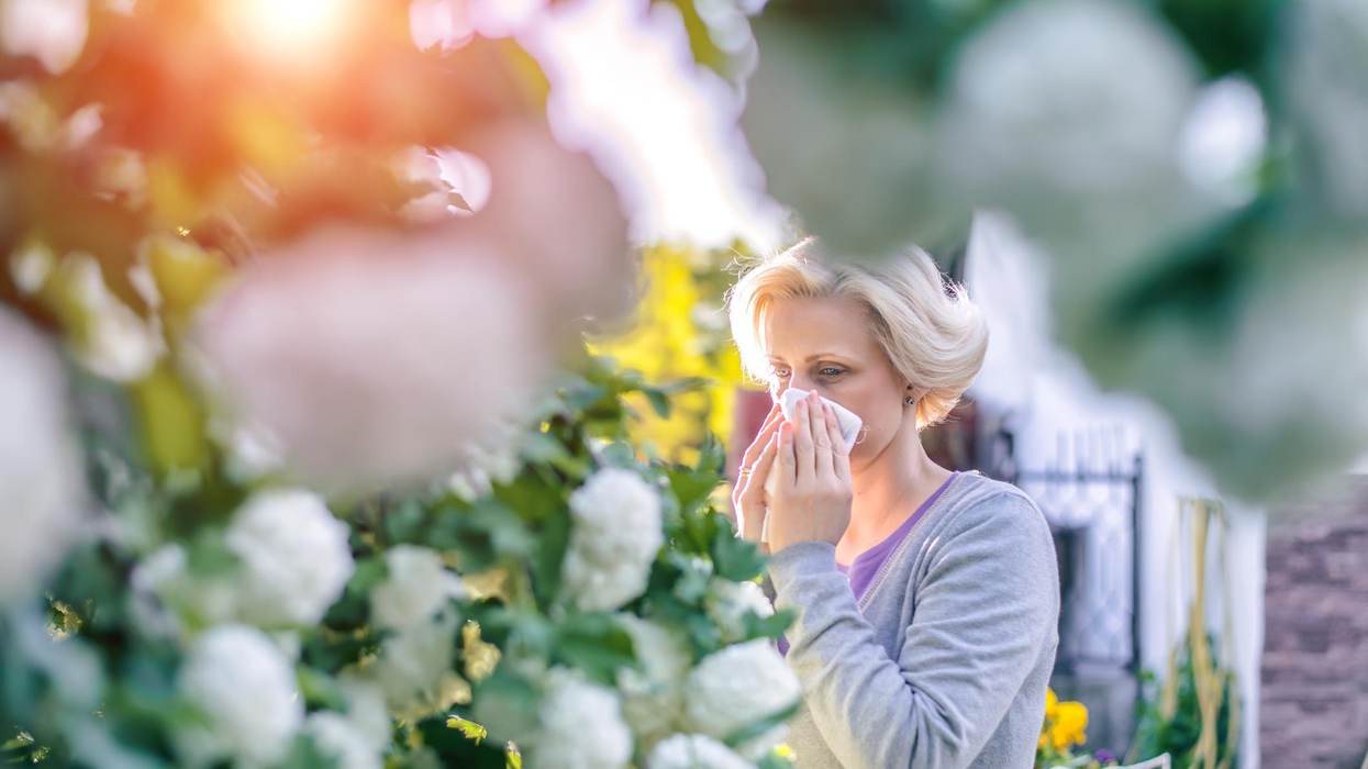 Pollen Season Is Getting Longer and More Intense With Climate Change – Here’s What Allergy Sufferers Can Expect in the Future