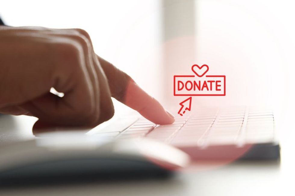 Woman using computer with donate icons