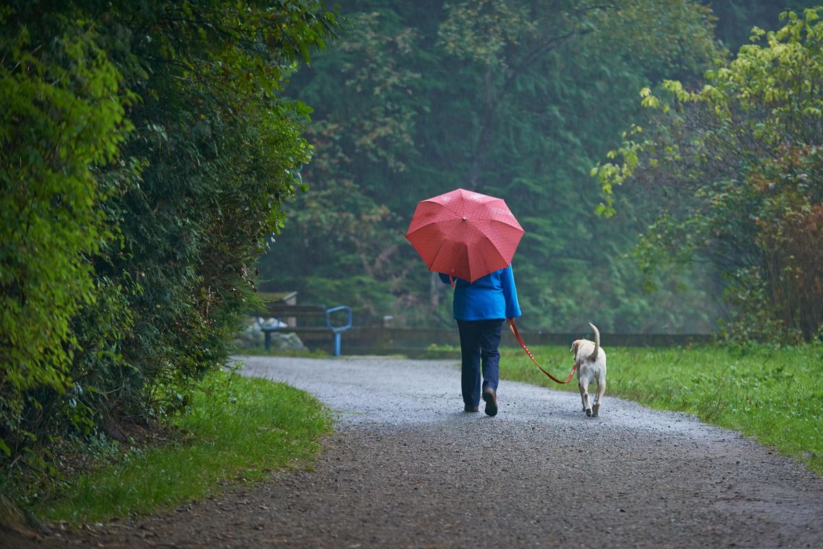 woman walking her dog