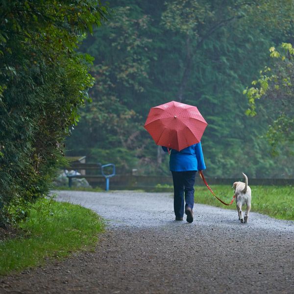woman walking her dog