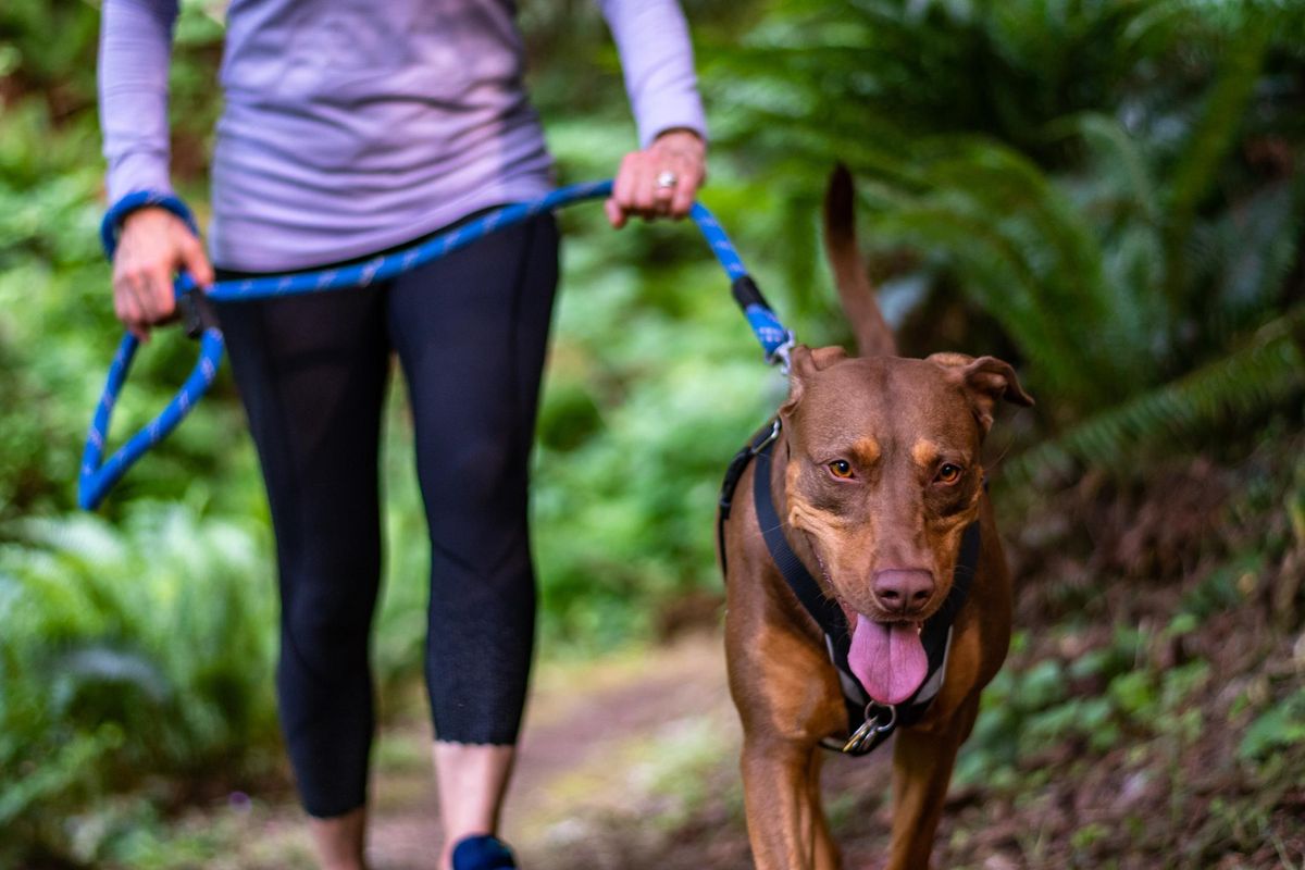 woman who can't get vaccinated walking her dog