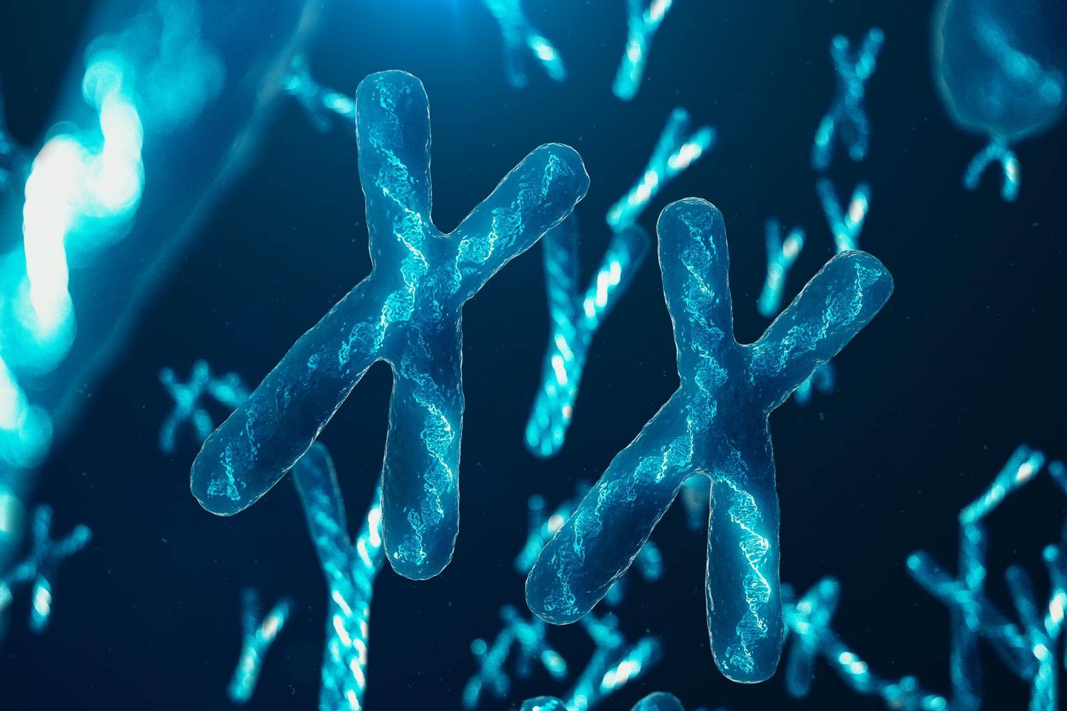 The Sex of Your Cells Matters When It Comes to Heart Disease