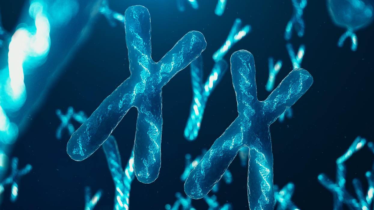 The Sex of Your Cells Matters When It Comes to Heart Disease