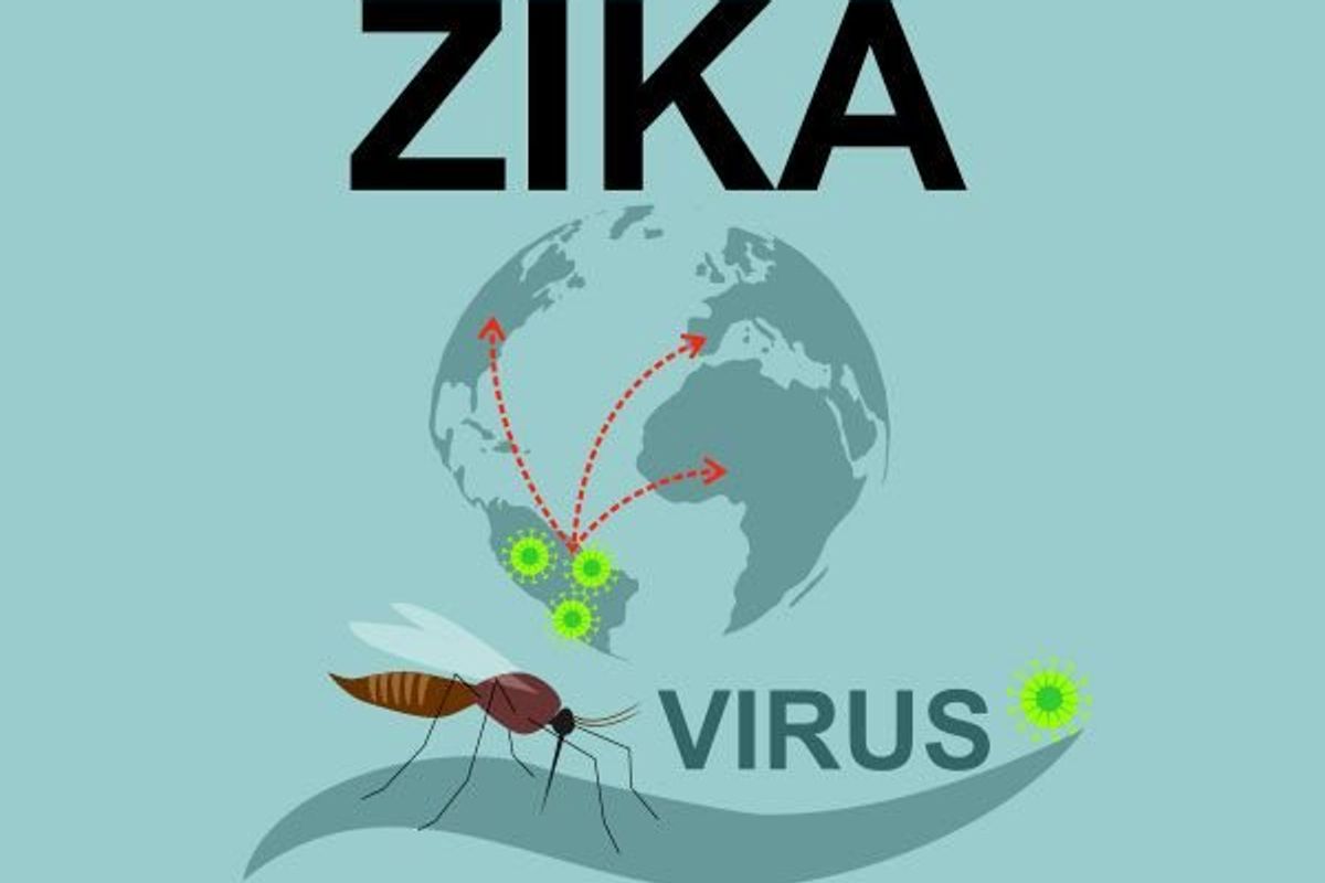 zika virus concept