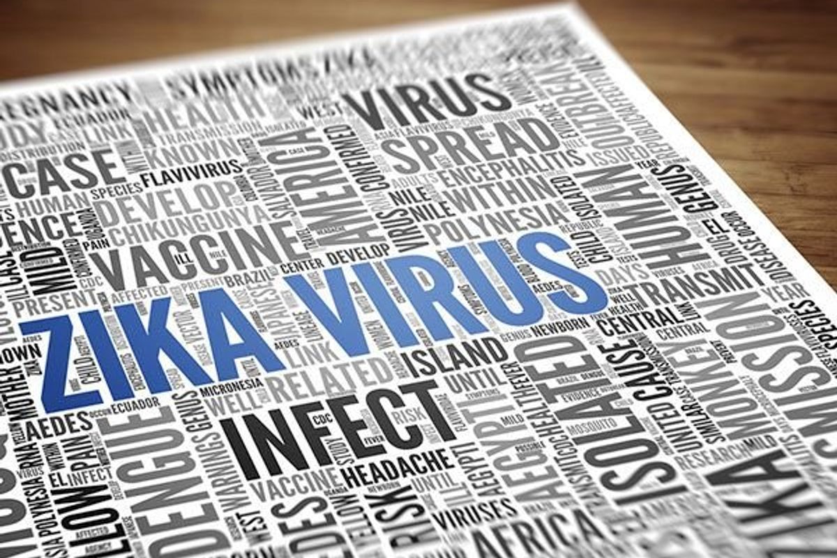 zika virus word cloud